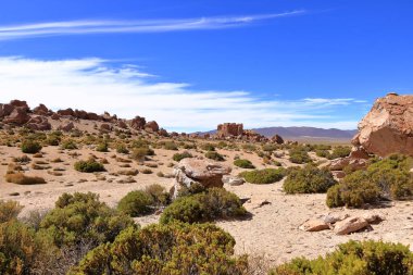 Güney Bolivya 'daki Bosque de Piedras kaya oluşumu (Valle de Rocas, Ciudad de Piedra)