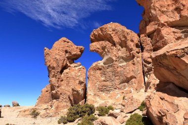 Güney Bolivya 'daki Bosque de Piedras kaya oluşumu (Valle de Rocas, Ciudad de Piedra)