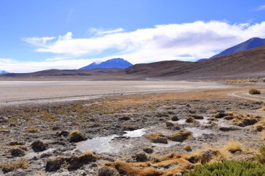 Laguna Honda, Bolivya altiplanosunda bir tuz gölü.