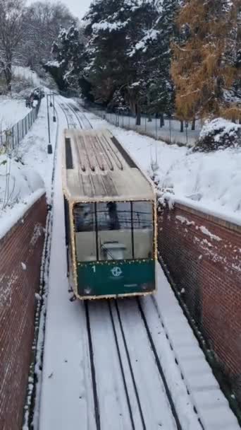 プラハ ペトリン鉄道は チェコのペトリン ヒル駅から下りるペトリン ペトリン鉄道を運行しています ペトリン ヒル駅 チェコ共和国から冬の遅い スローインコム — ストック動画