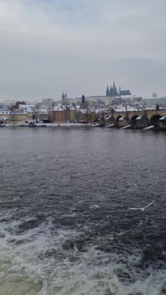 Краєвид Взимку Празі Чехія Річкою Влтава Карловим Мостом — стокове відео