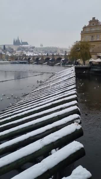 Táj Télen Prágában Csehországban Moldva Folyóval Károly Híddal — Stock videók