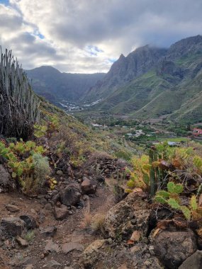 Agate ve Lomo de San Pedro, Tenerife 'deki armut kaktüsleri altında volkanik kayalıklar ve canlı doğal manzaralarla çevrili, yemyeşil Valle de la Orotava vadisi..