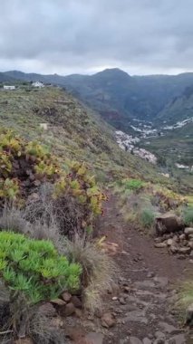 Agate ve Lomo de San Pedro 'nun Tenerife' deki geniş Valle de la Orotava bölgesinin sarp dağlar ve yemyeşil bitki örtüsüyle çevrili muhteşem manzarası..