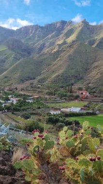 Tenerife 'deki Agate ve Lomo de San Pedro bölgesinin büyüleyici manzarası, Valle de la Orotava' ya panoramik bir bakış, yemyeşil, sarp dağlar ve sakin bir çevre