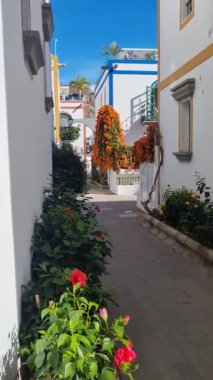 Puerto de Mogan, Gran Canaria, İspanya 'da çiçek açan cadde. Puerto de Mogan ve bir sürü begonvil çiçeği, Kanarya Adası.
