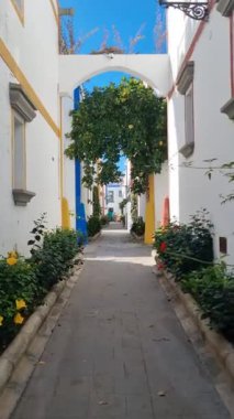 Kanarya Adalarının geleneksel mimarisi 