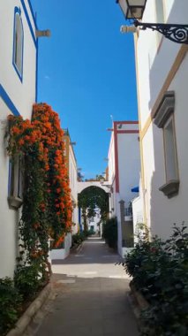 Puerto de Mogan, Gran Canaria, İspanya 'da çiçek açan cadde. Puerto de Mogan ve bir sürü begonvil çiçeği, Kanarya Adası.