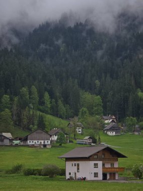 Alp yeşil tarlaları ve Gosau köyünün sonbahar manzaralı geleneksel ahşap evleri.