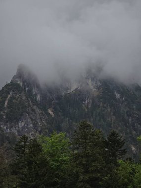 Bavyera 'daki Obersee Gölü üzerindeki Kara Puslu Uçurumlar