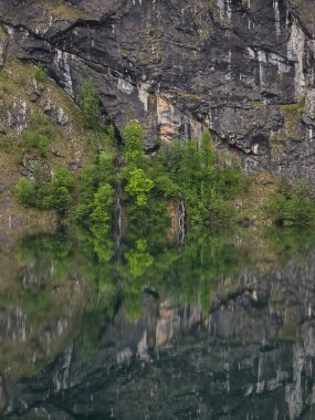 Obersee Gölü yakınlarındaki Bavyera Alpleri 'nde yeşil kaplı bir uçurum.