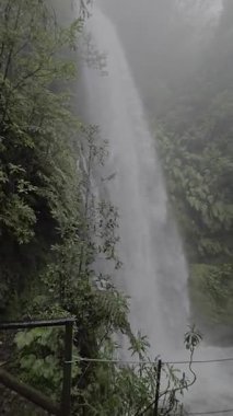 Risco Şelalesi, Rabaal, Madeira 'daki sisli yağmur ormanları uçurumlarına doğru batar. İkonik Levada das 25 Fontes yürüyüş rotası boyunca dramatik bir doğal manzara..