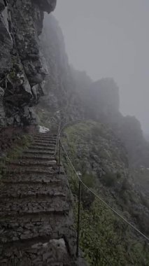 Taş merdivenler Madeira 'daki Pico ArieiroRuivo yolu boyunca yoğun sisin içine tırmanıyor. Çiğ volkanik kayalıklara oyulmuş dik ve nefes kesici bir dağ yolu..