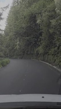 Portekiz, Madeira 'nın yemyeşil ormanlarından manzaralı bir yolculuk. Dar yol sık ağaçların arasından esiyor, adaların tipik dağlık arazisi ve doğa zengini manzarası..