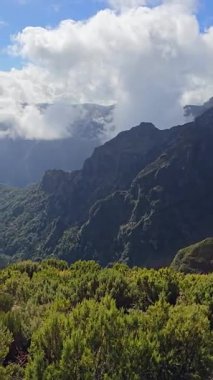 Yeşillik halılar Pico Ruivo 'nun yamaçlarında yumuşak bulutlar sürükleniyor. Madeira 'nın doğal güzelliği bu çarpıcı dağ manzarasında ortaya çıkar..