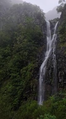 Portekiz, Madeira 'da, Levada das 25 Fontes yolu boyunca sisli şelale. Yağmurlu dağ manzarası yemyeşil, sarp kayalıklar ve el değmemiş vahşi güzellik..