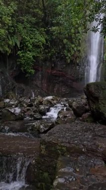 Madeiras Levada das 25 Fontes patikasındaki sisli uçurumlarda çağlayan uzun şelale. Yağmurla ıslanmış kayalar ve yemyeşil bitki örtüsü vahşi, sakin bir atmosfer yaratır..