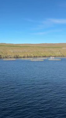 Yüzen somon kalemleri, Faroe Adaları fiyortlarının berrak sularını kaplar.