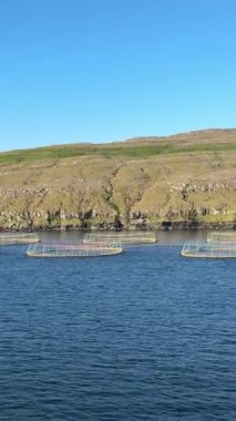 Açık-net somon kafesleri engebeli Faroe Adaları kıyılarında sürükleniyor; zümrüt tepeler ve mavi Atlantik su çerçevesi açık bir günde sürdürülebilir soğuk su balığı çiftçiliği.