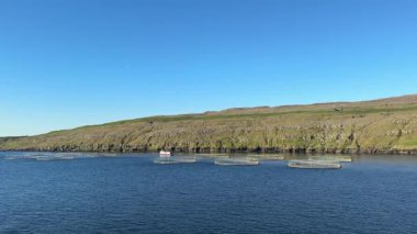 Kuzey Atlantik somon kafesleri ıssız bir Faroe fiyordunda yüzer.