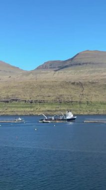 Faroe Adaları 'nın engebeli kıyı şeridi boyunca yüzen somon kafesleri demirliyor.