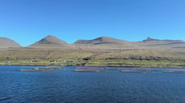 Deniz bazlı somon çiftliği Faroe Adaları 'ndaki sakin fiyort suları boyunca uzanır.