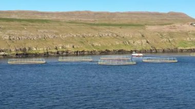 Kayalıkların yanında çalışan tekneleri olan Faroe somon çiftlikleri, adaları balıkçılık ve kıyı yaşamına derin bir bağlantı olarak yansıtıyor..