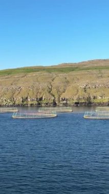 Faroe Adaları 'nın bozulmamış sularında çevre dostu deniz çiftçiliği. Yüzen balık kafesleri doğa ve yerel gelenek ile uyum içinde çalışır..