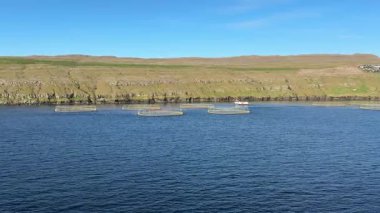 Faroe Adaları 'nın berrak mavi sularındaki modern somon tarım altyapısı, İskandinav topraklarında sürdürülebilir su kültürü teknolojisi sergiliyor..