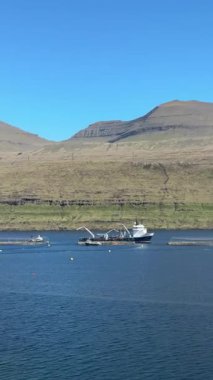 Faroe Adaları 'ndaki engebeli otlakların altında sakin bir fiyortta somon ağıllarına bakan bir çalışma botu, açık bir yaz gününde sürdürülebilir Kuzey-Atlantik su kültürünü gözler önüne seriyor..