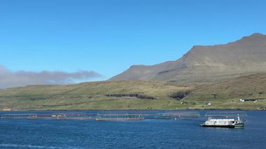 Faroe Adaları kıyısı boyunca somon balığı çiftlikleri. Suyun içinde bir beslenme mavnası ve açık mavi gökyüzünün altında dağlık bir arazi..