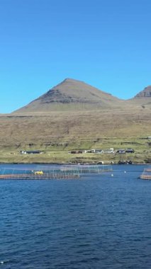 Yüzen somon kafesleri, güneşli bir günde Kuzey Atlantik 'in sürdürülebilir su kültürünü gösteren, Faroe Adaları' ndaki çimenli teras yamaçlarının ve engebeli tepelerin altındaki sakin bir fiyortu benekler..