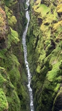 İzlanda 'daki Glymur Şelalesi yolu boyunca derin yosun kanyonu. Yanardağ kayalarının arasından oyulmuş, el değmemiş İskandinav yabanı ile çevrili dar, dramatik bir nehir geçidi..