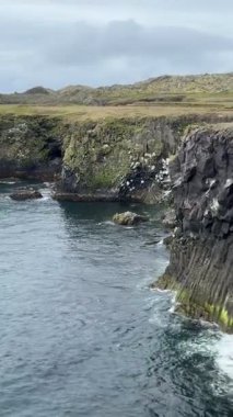 Arnarstapi, Snfellsnes Yarımadası, İzlanda 'daki Gatklettur kemeri yakınlarındaki bazalt deniz kayalıkları. Engebeli volkanik kıyı şeridi dalgalar, rüzgar ve yüzyıllar süren erozyonla şekillenir..