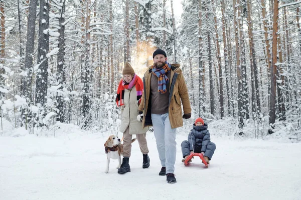 Famiglia Slittino Loro Figlia Camminare Con Cane Nella Foresta Durante — Foto Stock