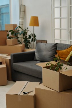 Taşınmaya hazırlanan her yerde karton kutular olan düz bir resim