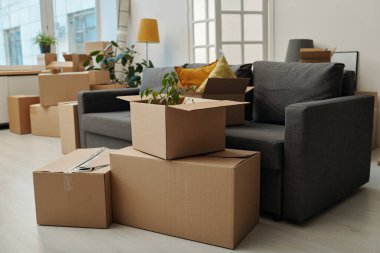 Taşınmak için paketlenmiş kutularla modern oturma odasının yatay görüntüsü