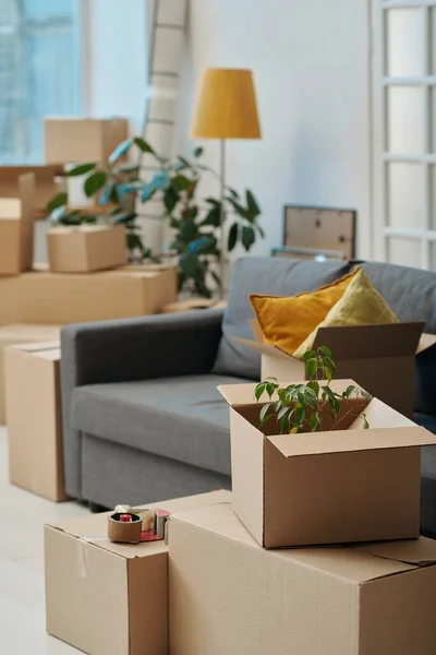 Vertical Image Moving New Home New Flat Packed Boxes Everywhere — Stock Photo, Image