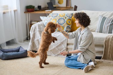 Gülümseyen genç bir kadın köpeğini eğitti ve itaat etmesi için ona yemek verdi.