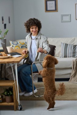 Evde uzaktan çalışma sırasında köpeğiyle oynayan genç bir kadının dikey görüntüsü