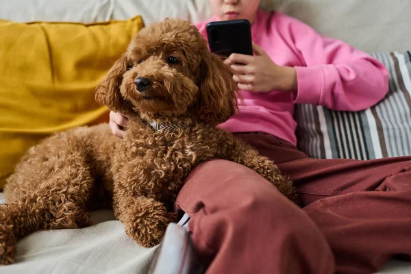 Kanepede Köpeğiyle Dinlenirken Akıllı Telefon Kullanan Küçük Kızın Yakın Çekimi — Stok fotoğraf