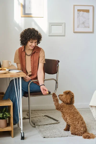 Jovem Mulher Alimentando Seu Cão Enquanto Almoça Mesa Sala — Fotografia de Stock
