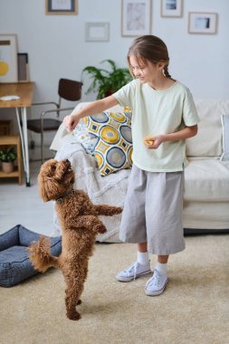 Küçük köpeğini eğiten kızın dikey görüntüsü.