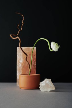 Dikey, durgun, beyaz bir çiçek, tahta bir dal ve siyah duvar arka planına karşı kaya tuzu.