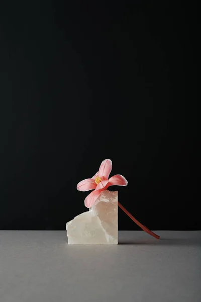 Dikey Modern Pembe Çiçek Kaya Tuzu Karışımı Gri Masa Üzerinde — Stok fotoğraf
