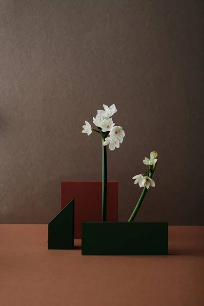 Vertical minimalistic still life shot of fresh white flowers, dark green and red-brown wooden figures against dark brown wall background