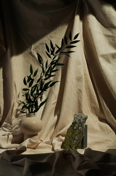 Bej Seramik Vazoda Yeşil Bitki Dalının Dikey Görüntüsü Keten Kumaş — Stok fotoğraf