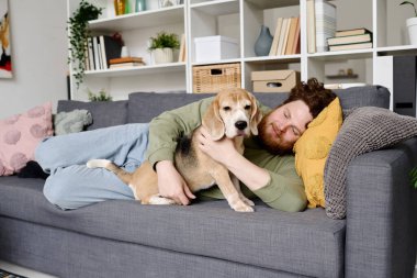 Genç sakallı adam kanepede uzanıyor ve evde boş zamanlarında köpeğini kucaklıyor.