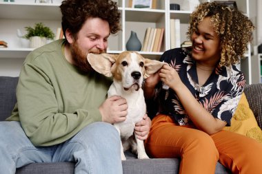 Genç mutlu çift evcil hayvanlarıyla oynaşıyor, evdeki kanepede otururken uzun kulaklarıyla oynuyorlar.