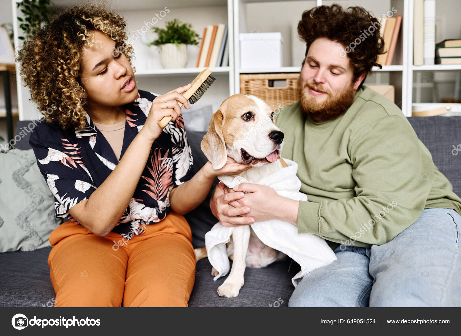 African Young Girl Sitting Sofa Brushing Dog Comb Man Holding